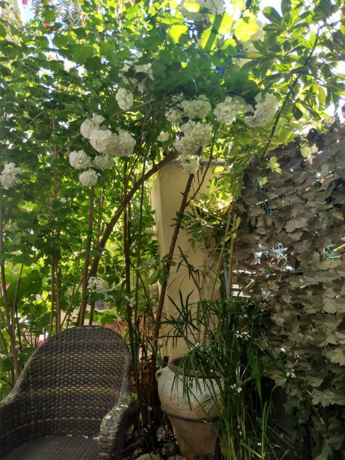 My Sunny Low Home Patras Bagian luar foto
